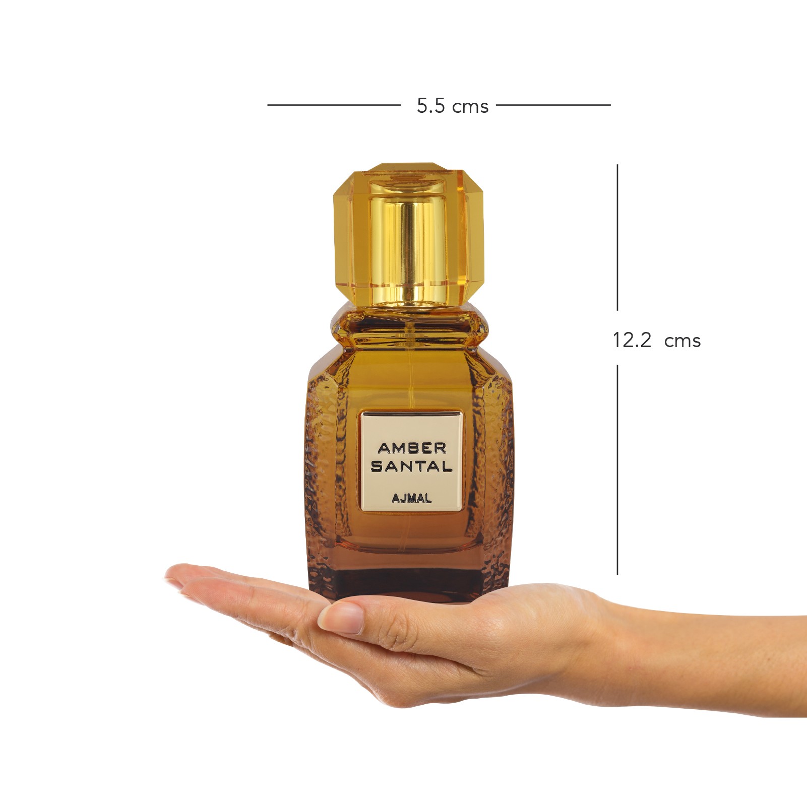 AMBER SANTAL FOR UNISEX 100ml EDP - Image 5