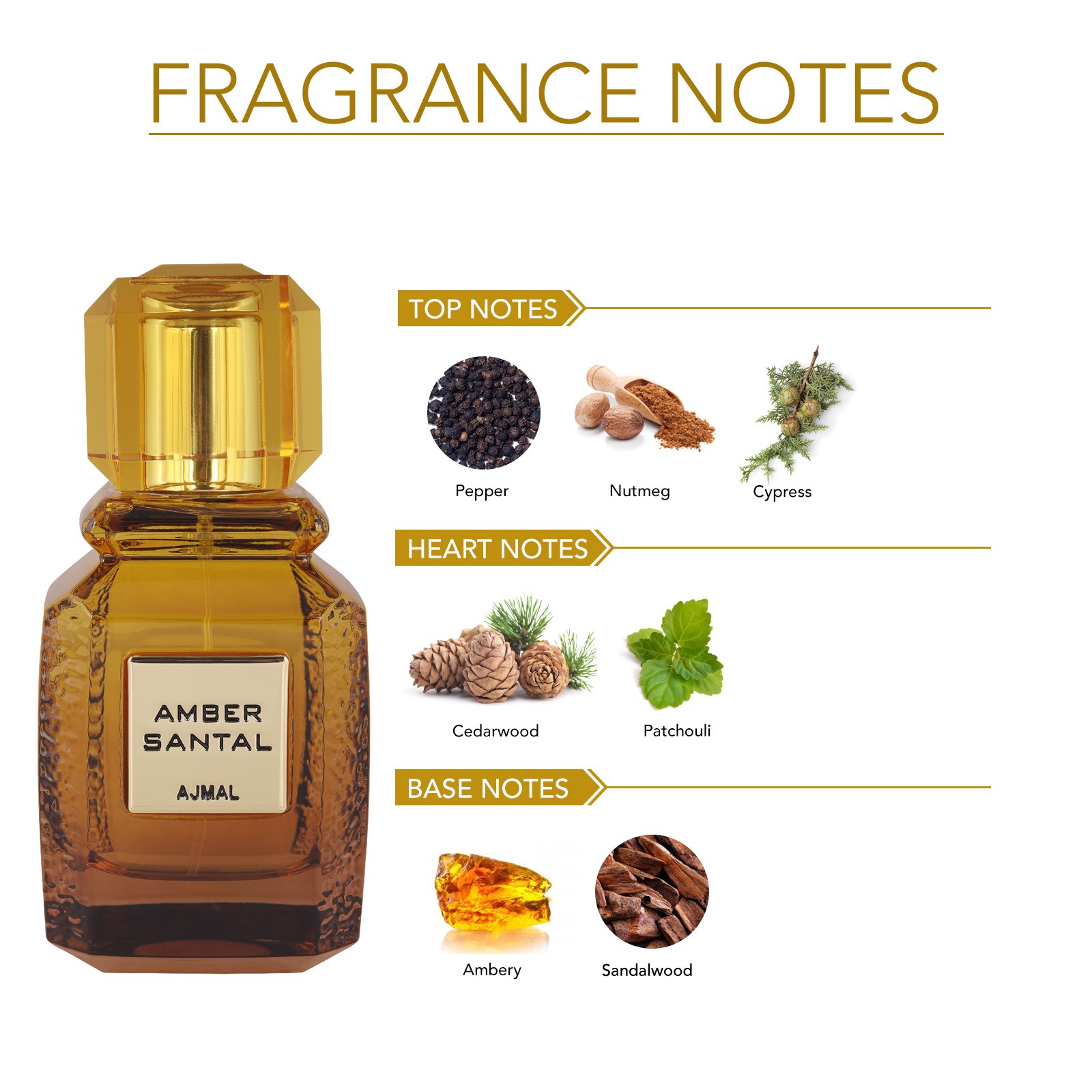 AMBER SANTAL FOR UNISEX 100ml EDP - Image 4