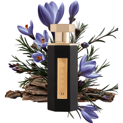 REEF 33 FOR UNISEX 100ml EDP - Image 2