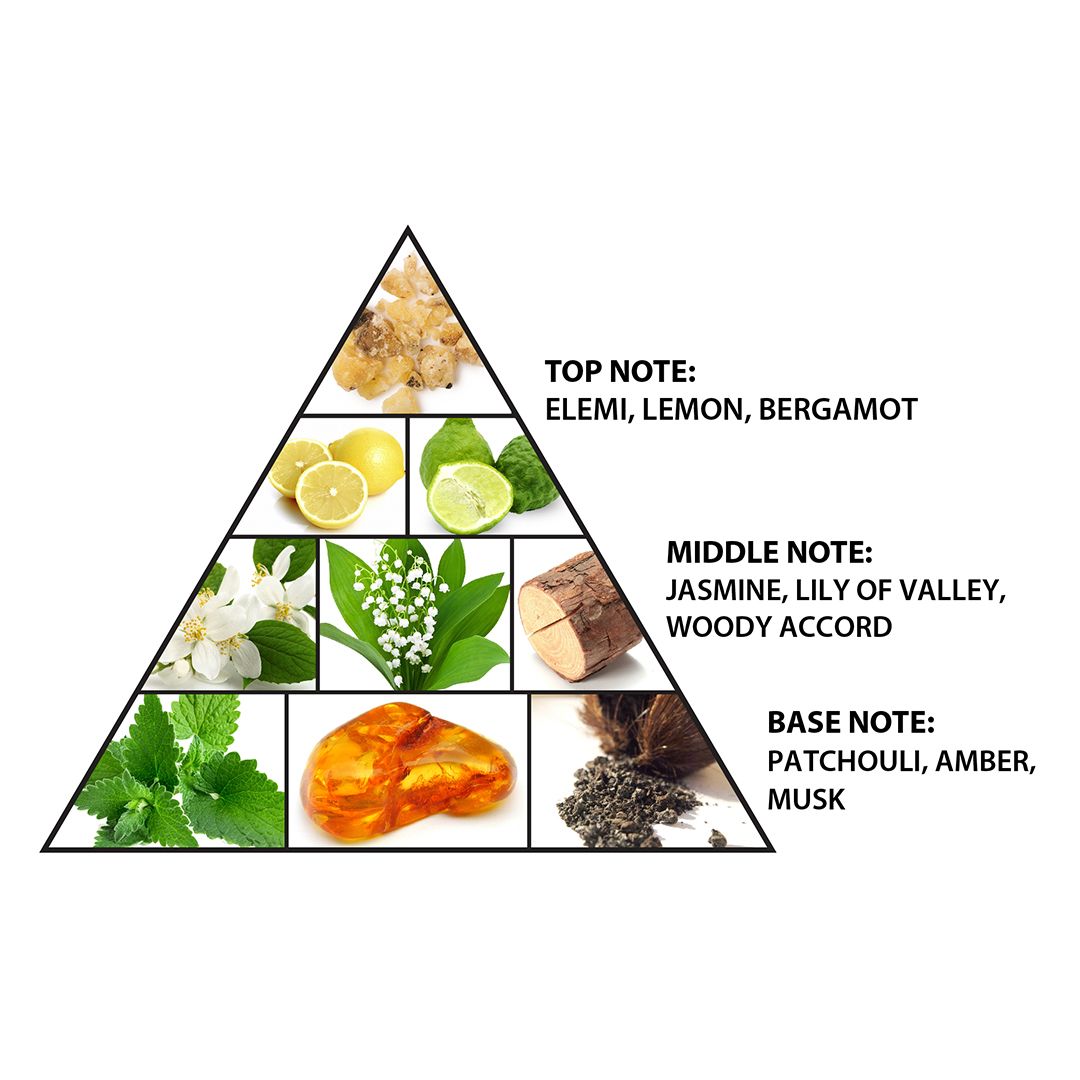 L'AVENTURE INTENSE FOR UNISEX 100ml EDP - Image 3