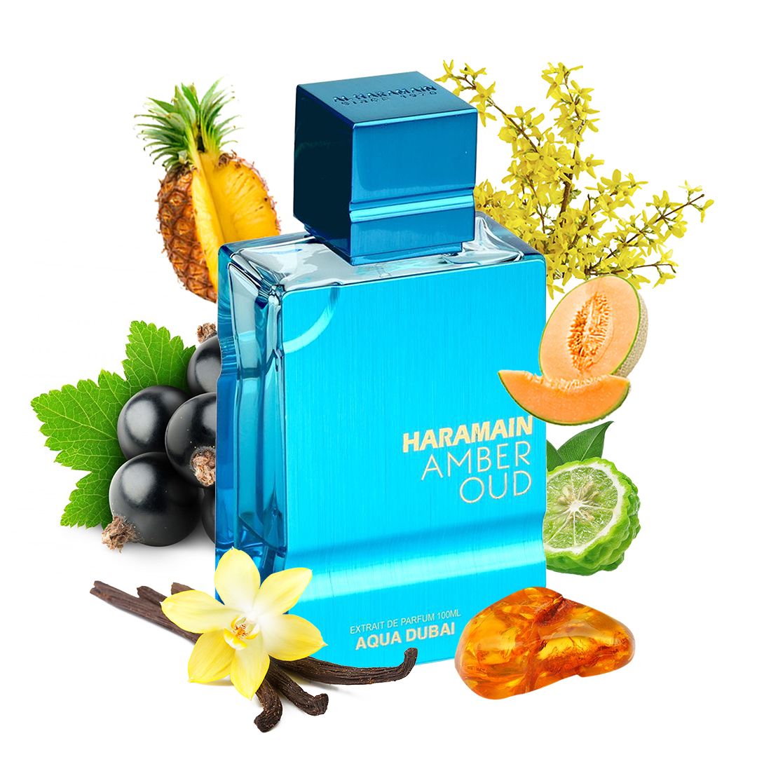 AMBER OUD AQUA DUBAI FOR UNISEX 100ml EXTRAIT DE PARFUM - Image 3